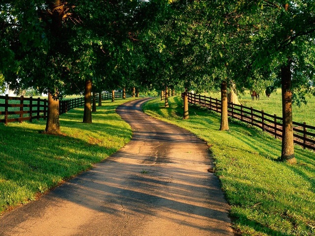 网页电话直接拨打